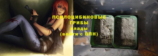 apvp Майский