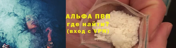 мяу мяу мука Магас