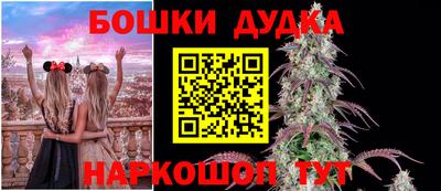 гидра Изобильный
