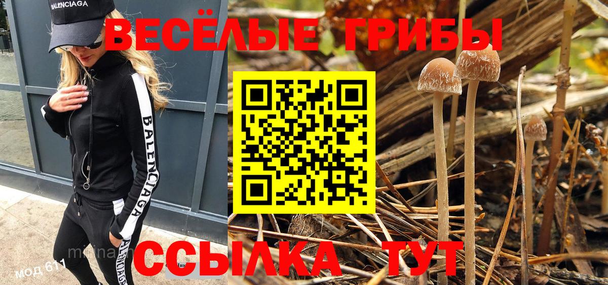 Псилоцибиновые грибы GOLDEN TEACHER Тара