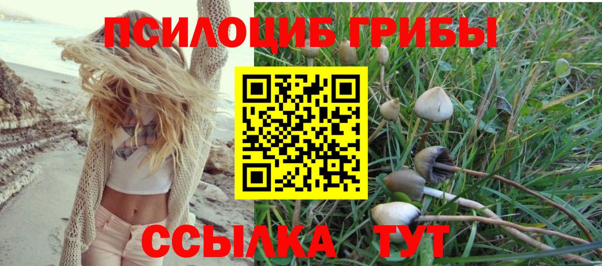 Псилоцибиновые грибы мицелий  Псилоцибиновые грибы Magic Shrooms  Тара  Вход с VPN 